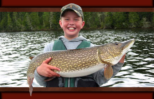 This is a photo of a boy holding a big fat 20 pound Northern Pike