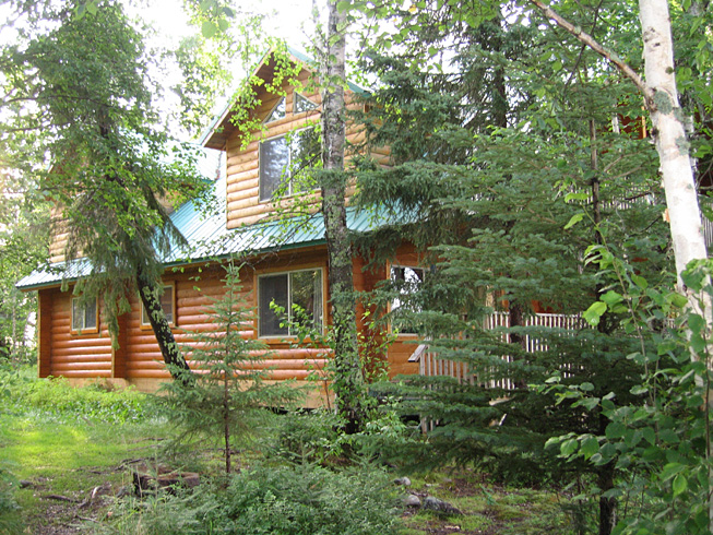 This is a photo of the cottage from the trees