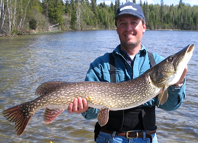 This is a photo of a man holding a 17 pound Northern Pike