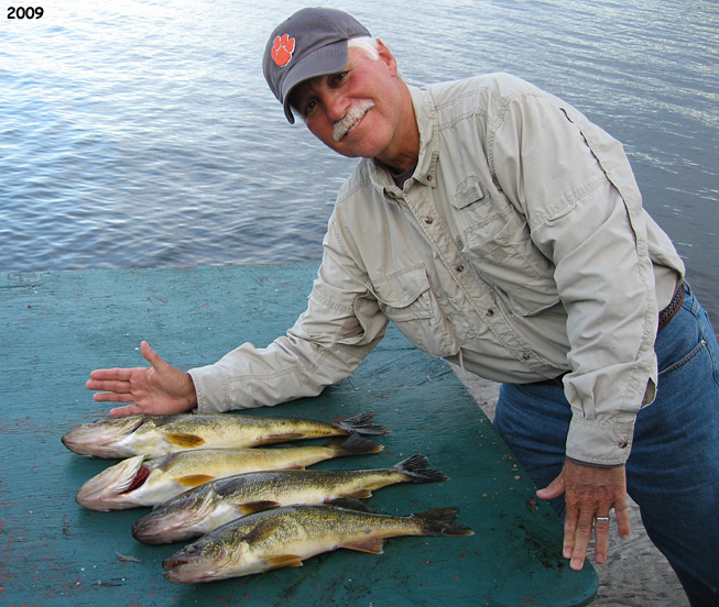 This is a photo of a man holding posing with four eating size Walleyes that he is about to clean for lunch