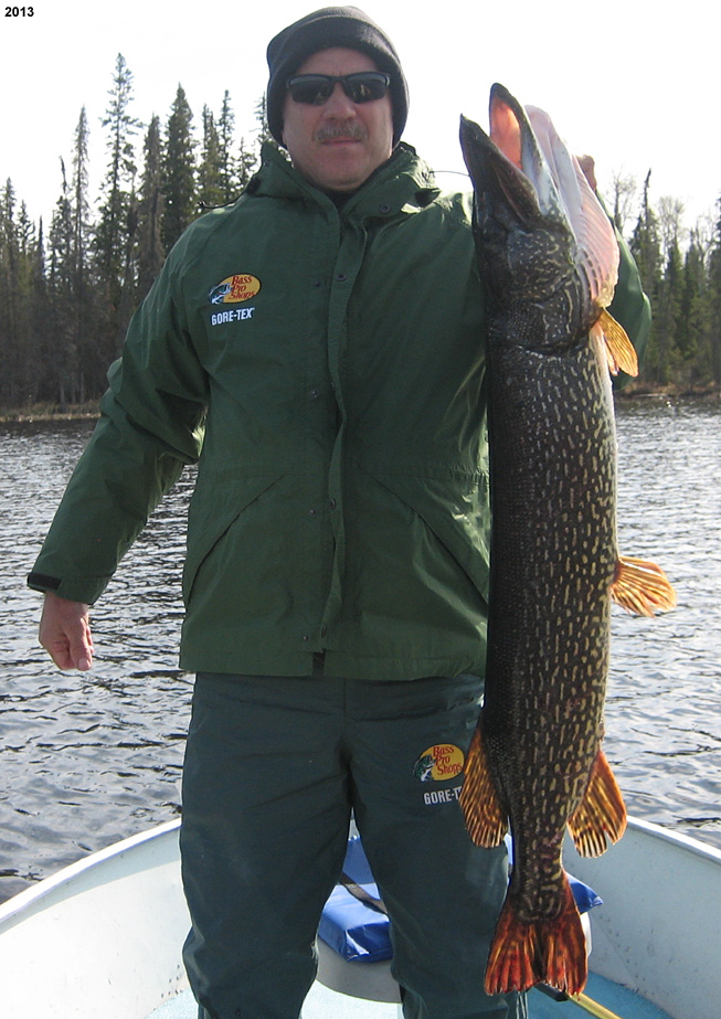 This is a photo of a holding a 20 pound Northern Pike