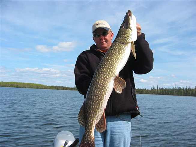 This is a photo of a man holding a 23 pound Northern Pike