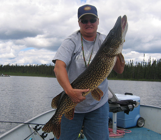 This is a photo of a man holding a 18 pound Northern Pike with a big head