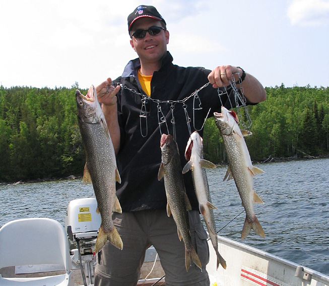 This is a photo of a man holding up four nice eating size Lake Trout in the 1 to 3 pound range
