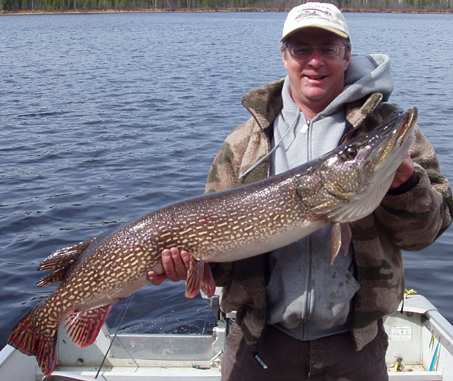 This is a photo of a man in a brown jacket holding a 23 pound Northern Pike