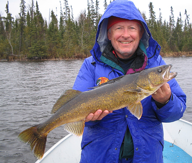 This is a picture of a man in a blue jacket holding a 5 pound Walleye